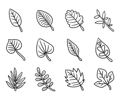 Dry autumn fall leaf doodle icon vector