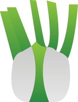 Fennel Vector Icon Design