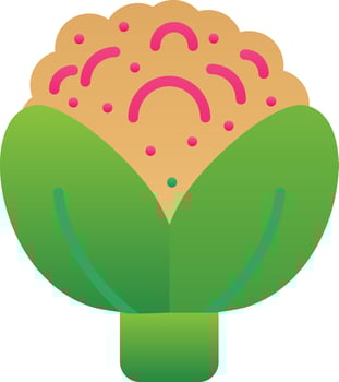 Cauliflower Vector Icon Design