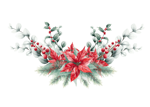 Watercolor Christmas bouquet png