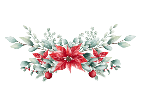 Watercolor Christmas bouquet png