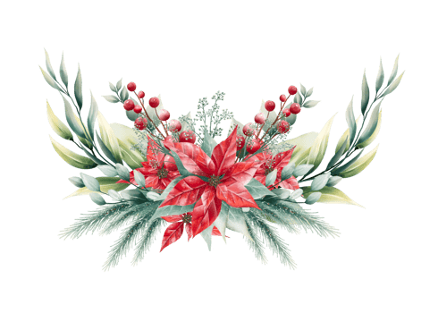 Watercolor Christmas bouquet png