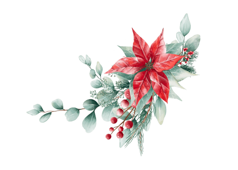 Watercolor Christmas bouquet png