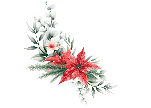 Watercolor Christmas bouquet png