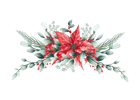 Watercolor Christmas bouquet png