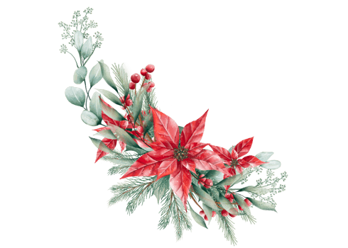 Watercolor Christmas bouquet png