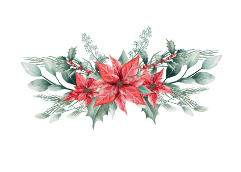 Watercolor Christmas bouquet png