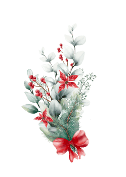 Watercolor Christmas bouquet png