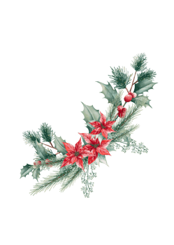 Watercolor Christmas bouquet png