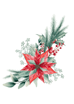 Watercolor Christmas bouquet png