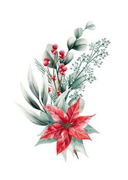 Watercolor Christmas bouquet png