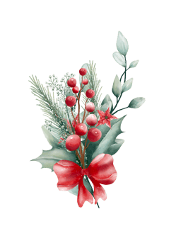 Watercolor Christmas bouquet png