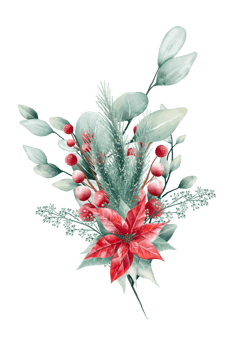 Watercolor Christmas bouquet png