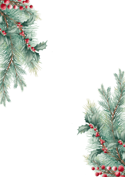 Crispy Christmas flowers watercolors. png
