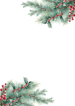 Crispy Christmas flowers watercolors. png