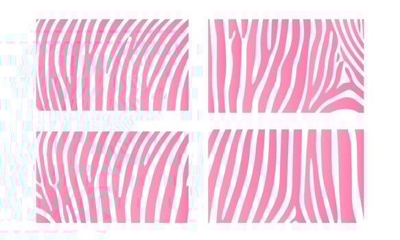 Pink Zebra animal skin print vector