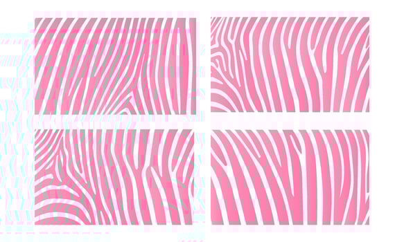 Pink Zebra animal skin print vector
