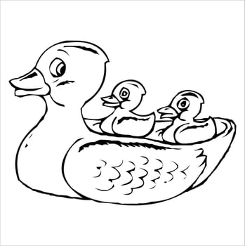 sketch drawing. sketch drawings for children to learn coloring. detailed line art shapes make it easy for children to learn to draw and color blank fields. vector