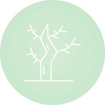 Dry Tree Vector Icon