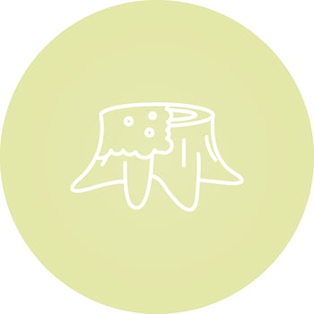Moss Vector Icon