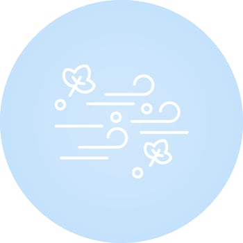 Wind Vector Icon