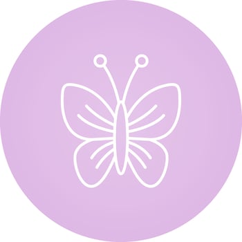 Butterfly Vector Icon