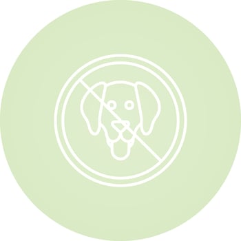 No Pets Allowed Vector Icon