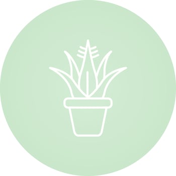 Agave Vector Icon