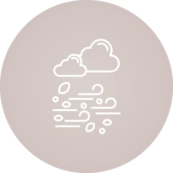 Wind Vector Icon