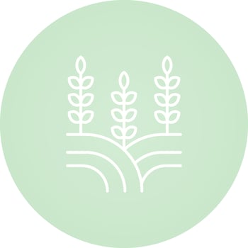 Field Vector Icon