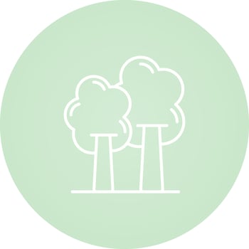 Trees Vector Icon