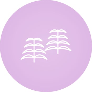 Fern Vector Icon