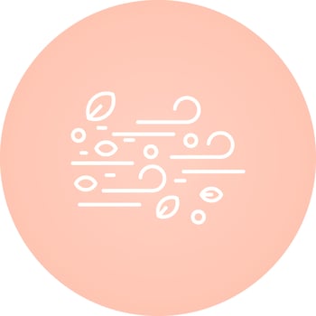 Wind Vector Icon