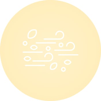 Wind Vector Icon