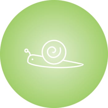 Unique Snail Line Vector Icon