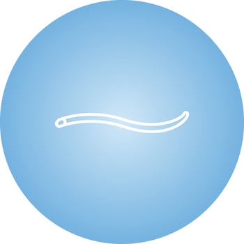 Unique Worm Vector Line Icon