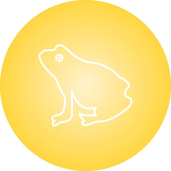 Unique Frog Vector Line Icon