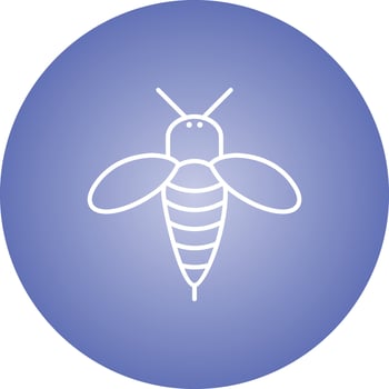 Unique Honey Bee Vector Line Icon
