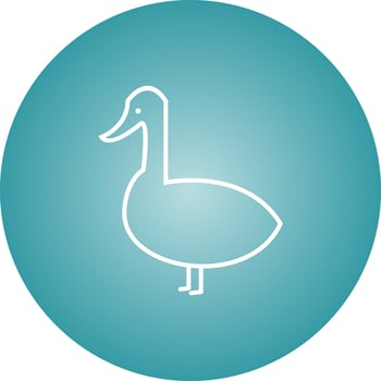 Unique Duck Vector Line Icon
