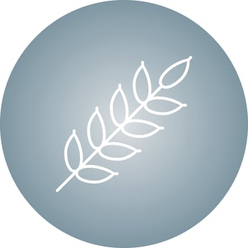 Unique Wheat Vector Line Icon