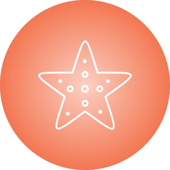 Unique Starfish Vector Line Icon