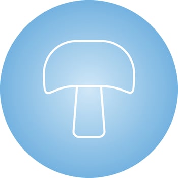 Unique Mushroom Vector Line Icon