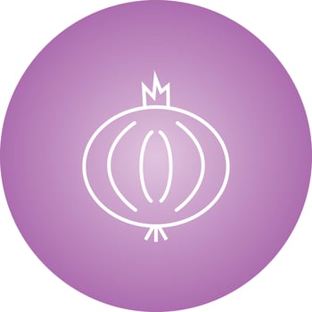 Unique Onion Vector Line Icon