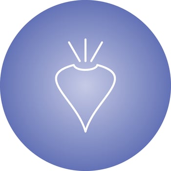 Unique Beet Vector Line Icon