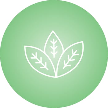 Unique Spearmint Vector Line Icon