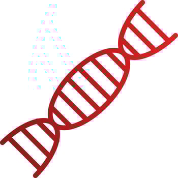 Dna Vector Icon