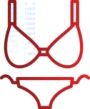 Bikini Vector Icon