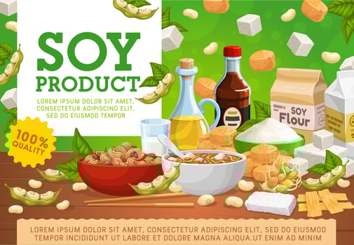 Soy products, organic soybean vegan food vector