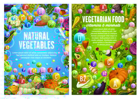 Vegetarian food, vegetables and veggies vitamins vector