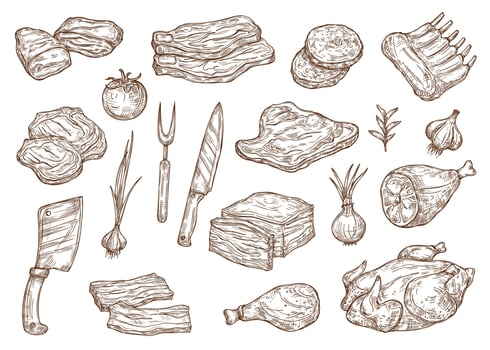 Butcher shop meat and barbecue cooking, sketch vector